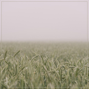 国产原创中文AV
